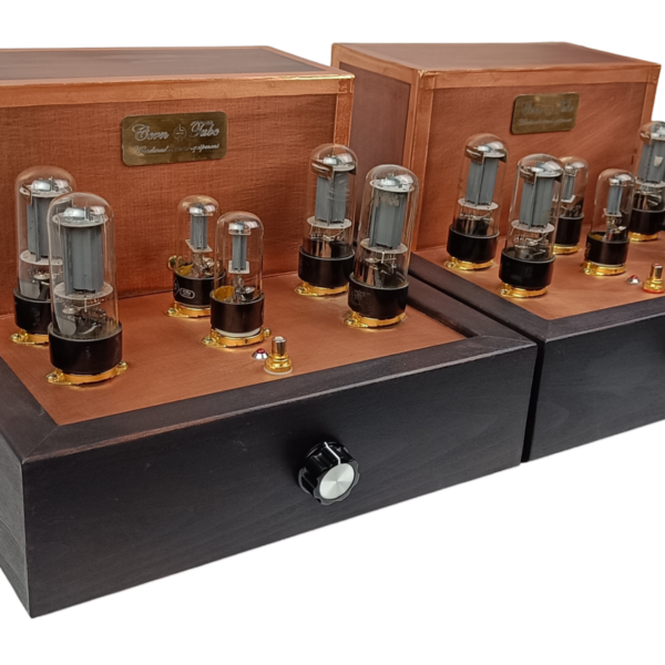 Tube Lamp Monoblock Power Amplifiers